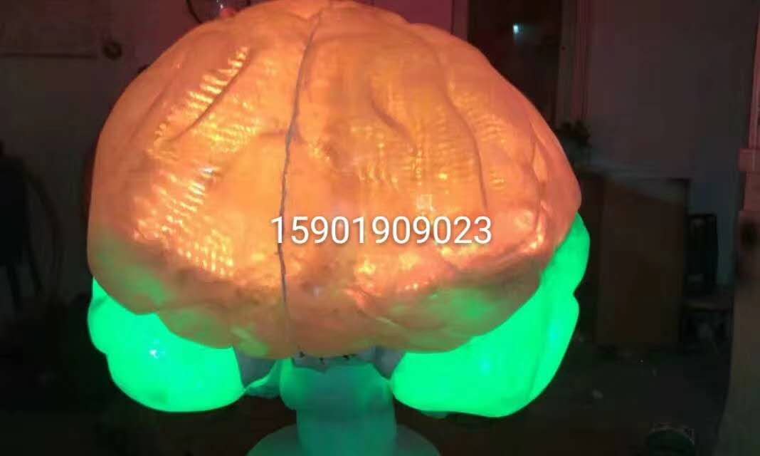 巧家县大型仿真模型道具