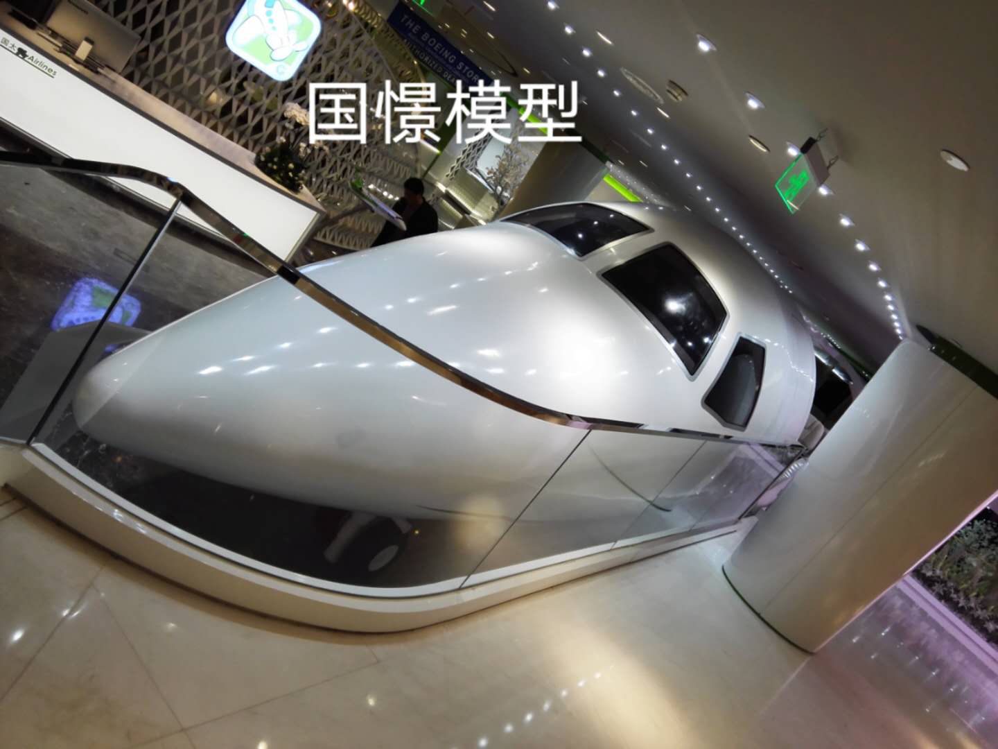 巧家县大型仿真模型道具