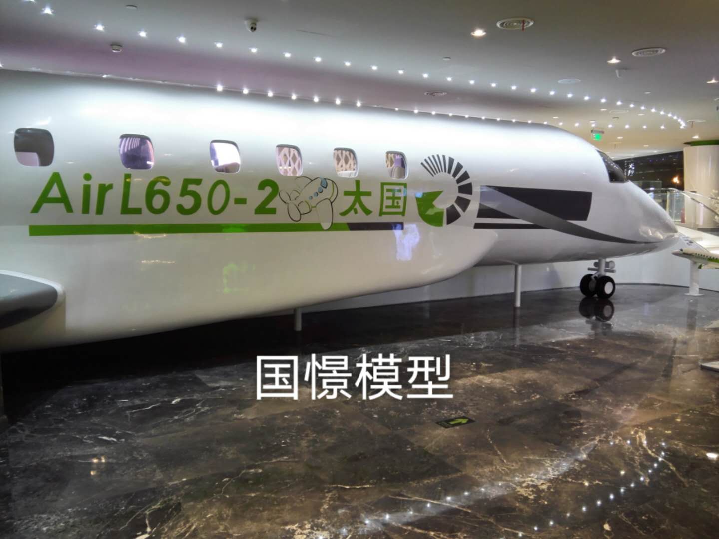 巧家县大型仿真模型道具